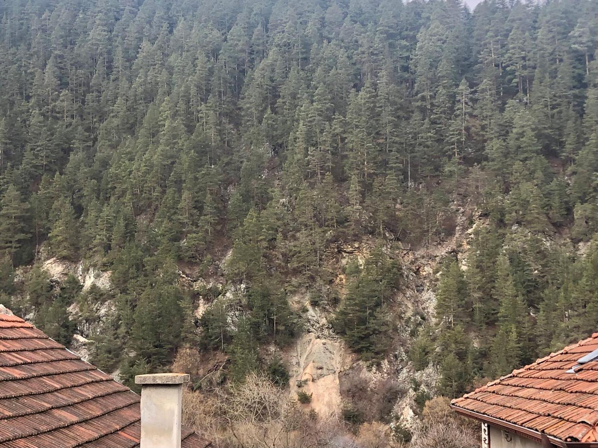 Niya Guest House Beli Iskar Εξωτερικό φωτογραφία